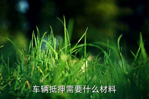车辆抵押需要什么材料